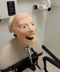 Smiling wide eye-f rubber dental mannequin
