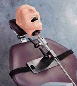 Dental Care training Mannequin with chair mount