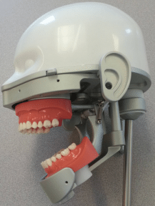 Dental mannequin with plastic head portion 