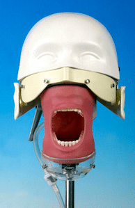 Dental Training head and magnetic system