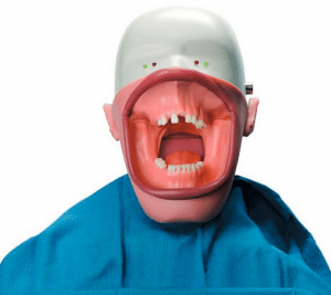 Dental Mannequin 