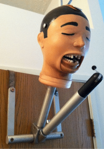 dental mannequin rubber head with mocing jaws from the 1950s
